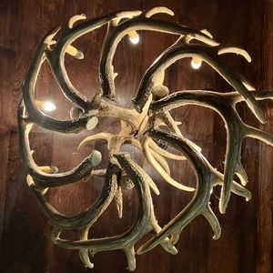 Deer Antler Chandeliers and Lights